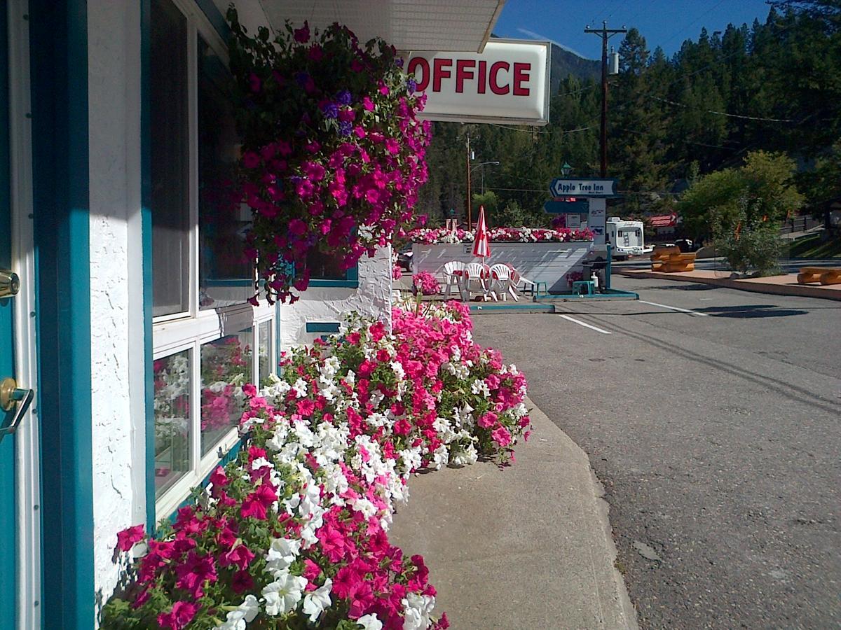 Appletree Inn Radium Hot Springs Exteriör bild