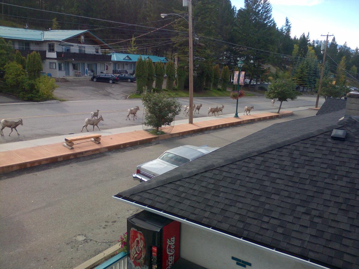 Appletree Inn Radium Hot Springs Exteriör bild